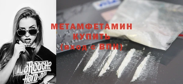 гидра Каменка