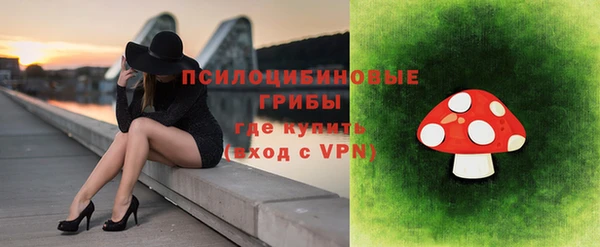 гидра Каменка