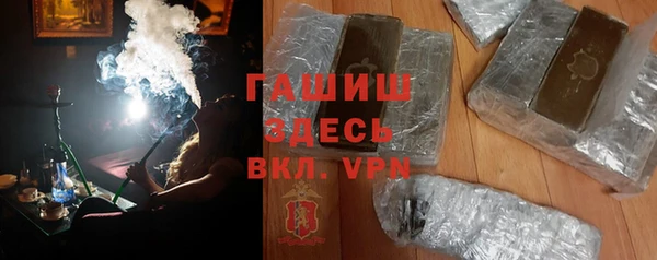 гидра Каменка