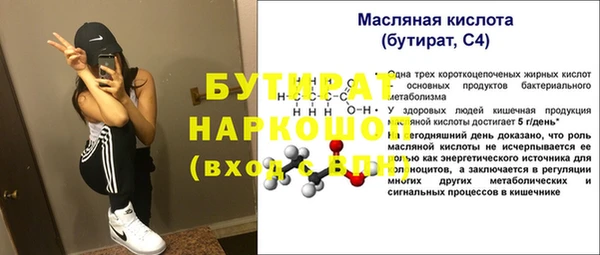гидра Каменка