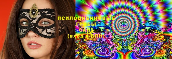 гидра Каменка