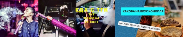 гидра Каменка
