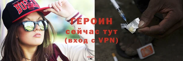 гидра Каменка