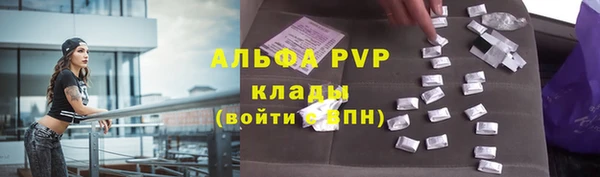 гидра Каменка