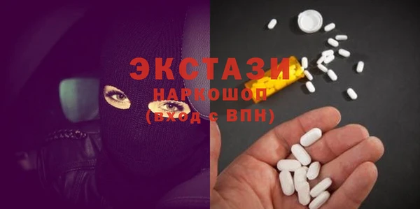 гидра Каменка