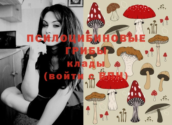 не бодяженный Каменск-Шахтинский