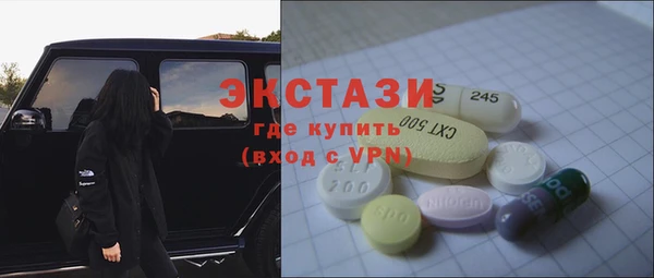 гидра Каменка