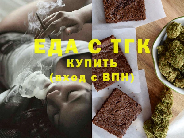 гидра Каменка