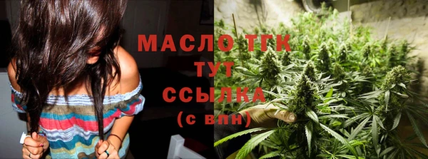 гидра Каменка