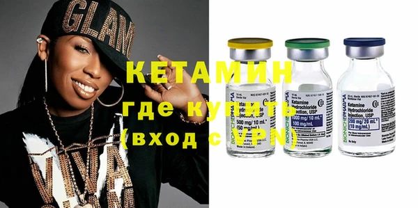 гидра Каменка