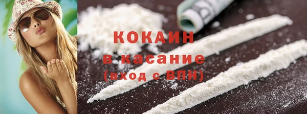 гидра Каменка
