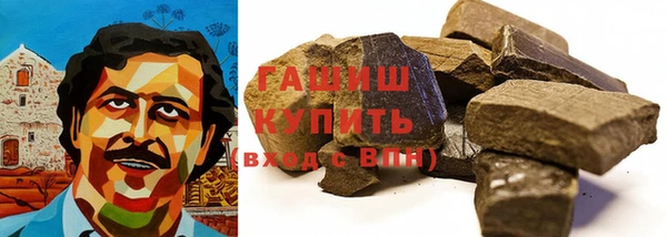 гидра Каменка