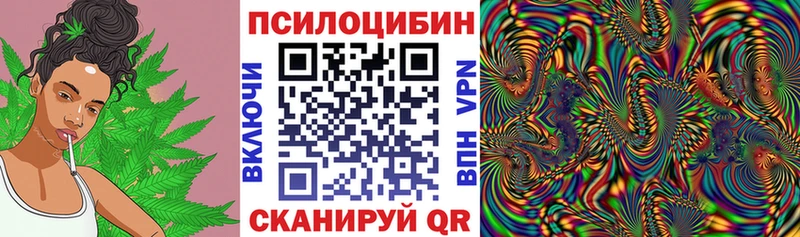 закладки  Невинномысск  Галлюциногенные грибы мухоморы 